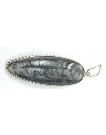 Finance Pendant Orthoceras Stone...